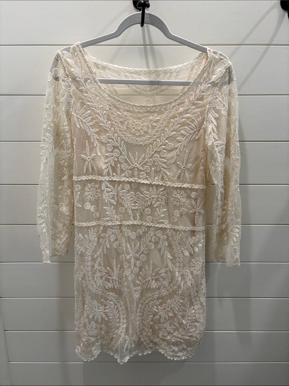 Express Cream Lace Embroidered Dress